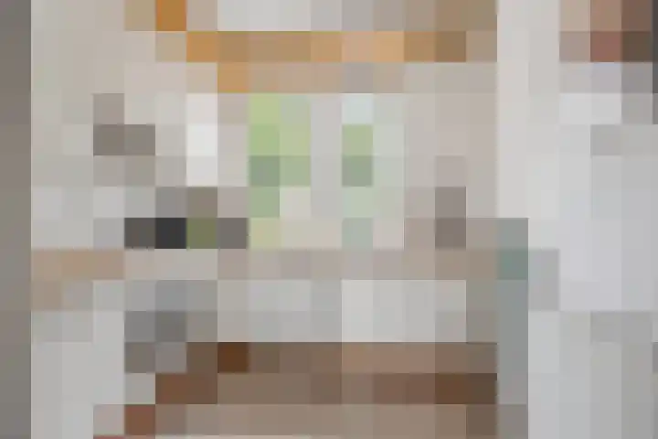 Zilverstede 15 Teteringen thumbnail 16