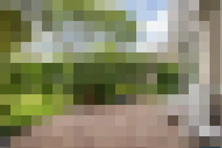 Zilverstede 15 Teteringen thumbnail 17