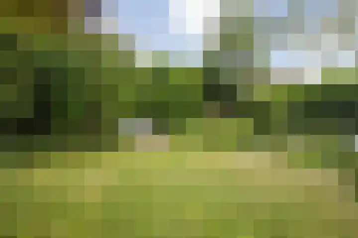 Zilverstede 15 Teteringen thumbnail 18