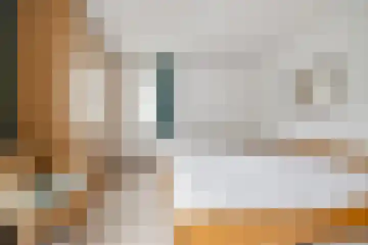 Zilverstede 15 Teteringen thumbnail 29