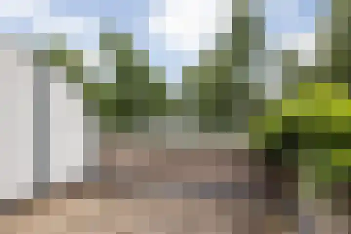 Zilverstede 15 Teteringen thumbnail 31