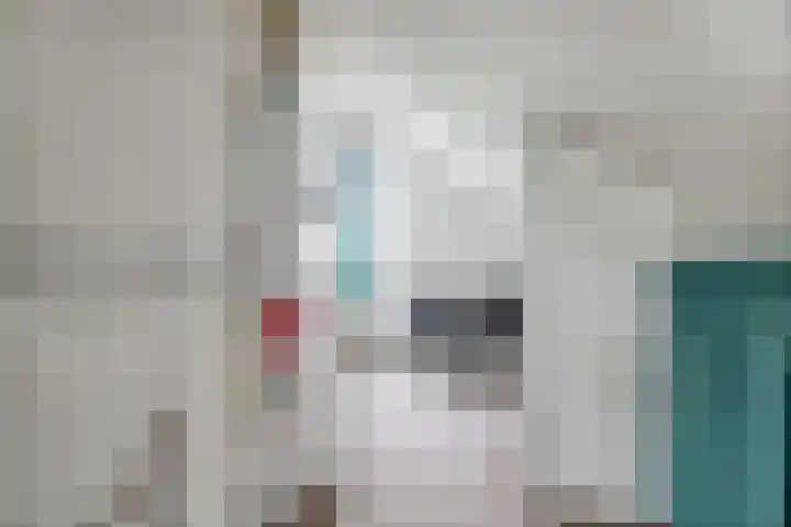 Zilverstede 15 Teteringen thumbnail 33