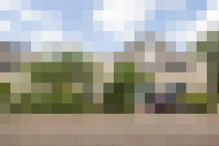 Zilverstede 15 Teteringen thumbnail 37