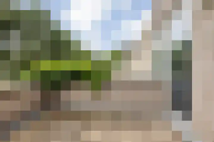 Zilverstede 15 Teteringen thumbnail 6