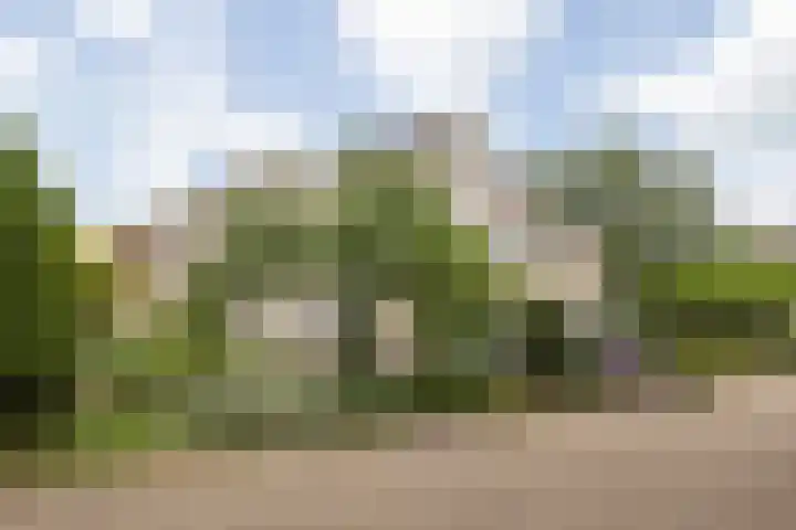 Zilverstede 15 Teteringen thumbnail 7