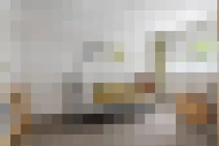 Zilverstede 15 Teteringen thumbnail 9