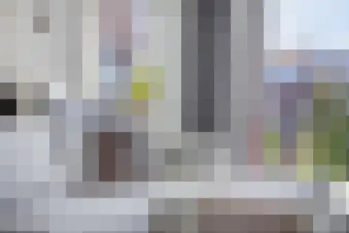 Zilverstein 107 Oegstgeest thumbnail 12
