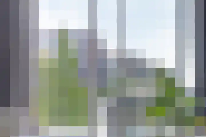 Zilverstein 107 Oegstgeest thumbnail 13