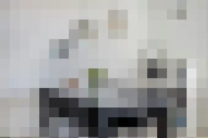 Zilverstein 107 Oegstgeest thumbnail 17