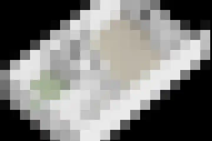 Zilverstein 107 Oegstgeest thumbnail 34