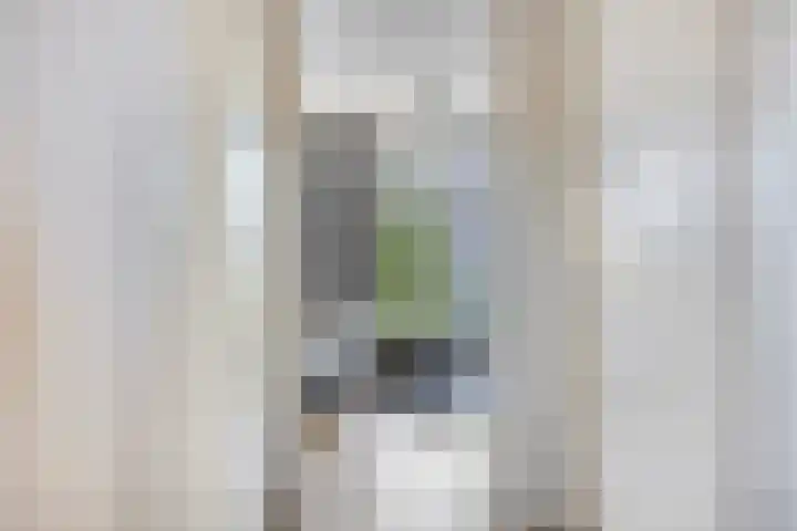 Zilverstein 107 Oegstgeest thumbnail 9