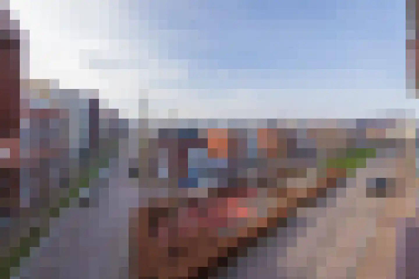 Zilverstein 109 Oegstgeest thumbnail 22