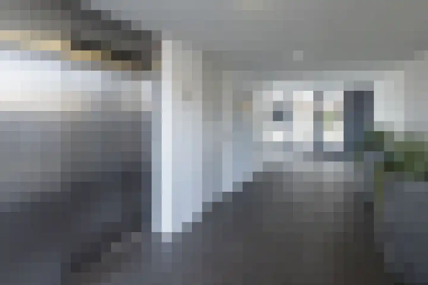 Zilverstein 109 Oegstgeest thumbnail 6