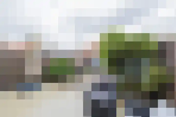 Zilverstein 13 Oegstgeest thumbnail 16