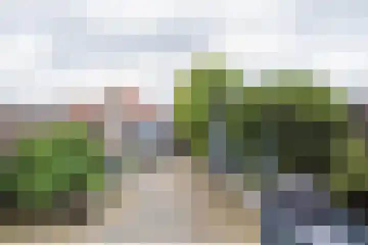 Zilverstein 13 Oegstgeest thumbnail 17