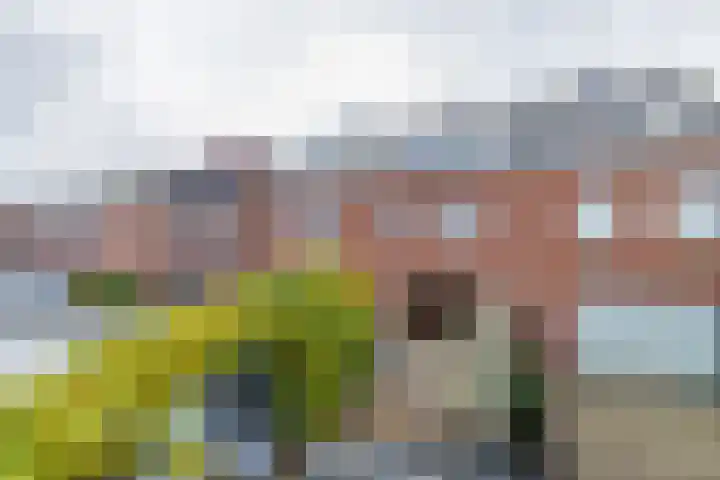 Zilverstein 13 Oegstgeest thumbnail 20
