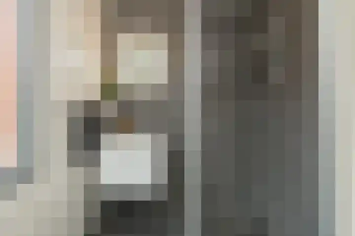 Zilverstein 13 Oegstgeest thumbnail 30