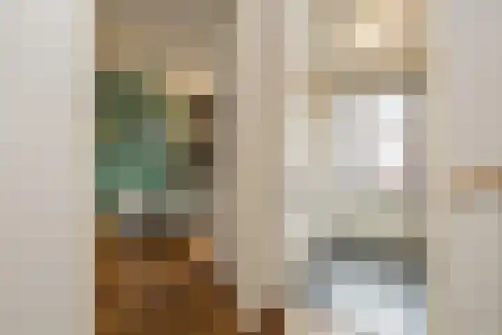 Zilverstein 13 Oegstgeest thumbnail 32