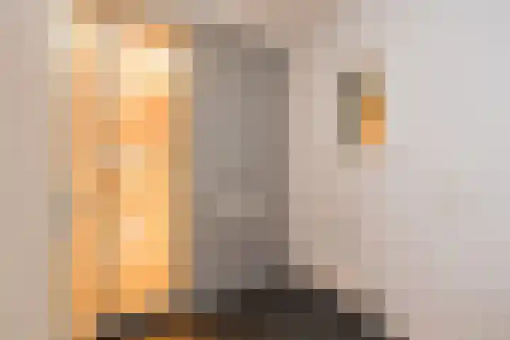 Zilverstein 13 Oegstgeest thumbnail 4