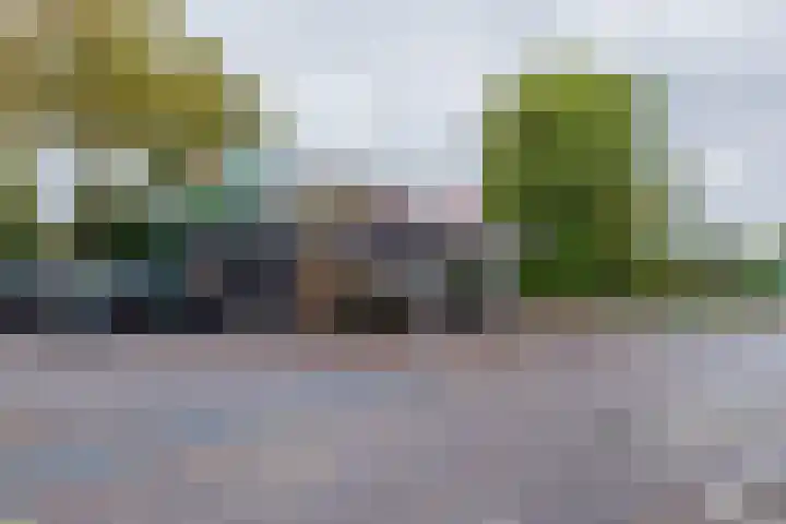 Zilverstein 13 Oegstgeest thumbnail 41