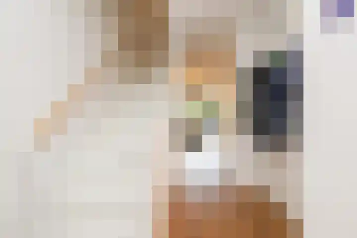 Zilverstein 13 Oegstgeest thumbnail 5