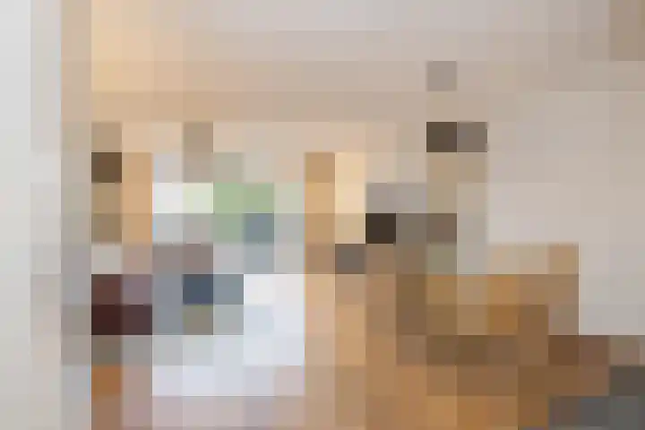 Zilverstein 13 Oegstgeest thumbnail 6
