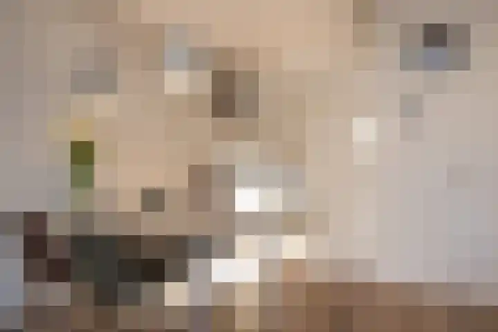 Zilverstein 15 Oegstgeest thumbnail 10