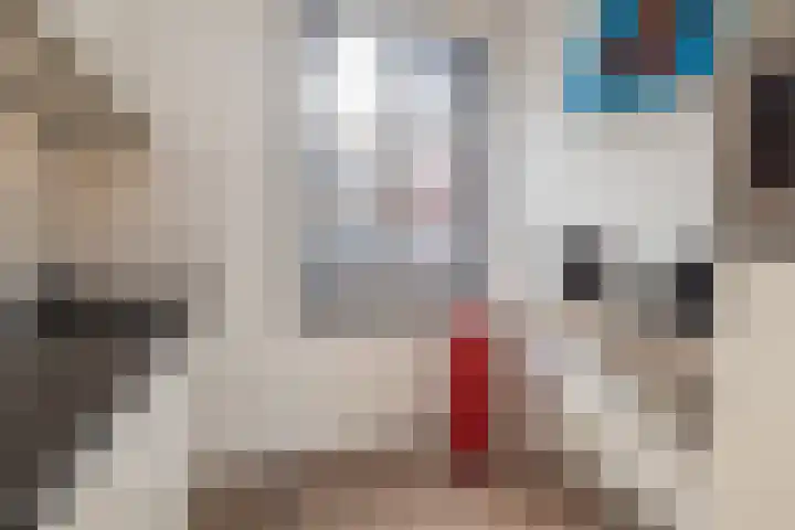 Zilverstein 15 Oegstgeest thumbnail 13