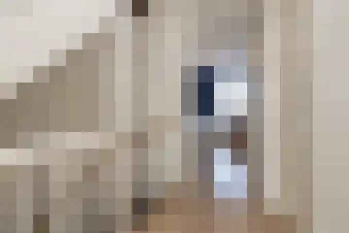 Zilverstein 15 Oegstgeest thumbnail 18