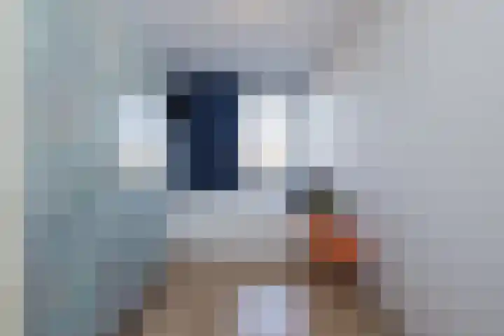 Zilverstein 15 Oegstgeest thumbnail 19