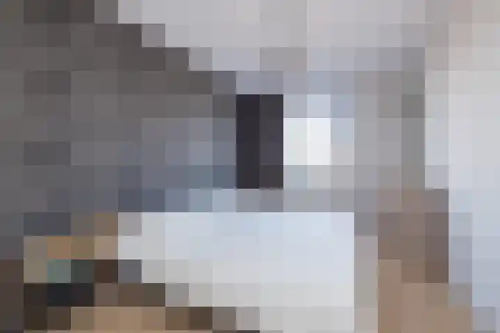 Zilverstein 15 Oegstgeest thumbnail 23