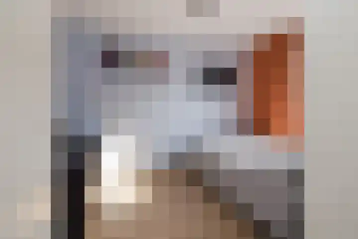 Zilverstein 15 Oegstgeest thumbnail 26