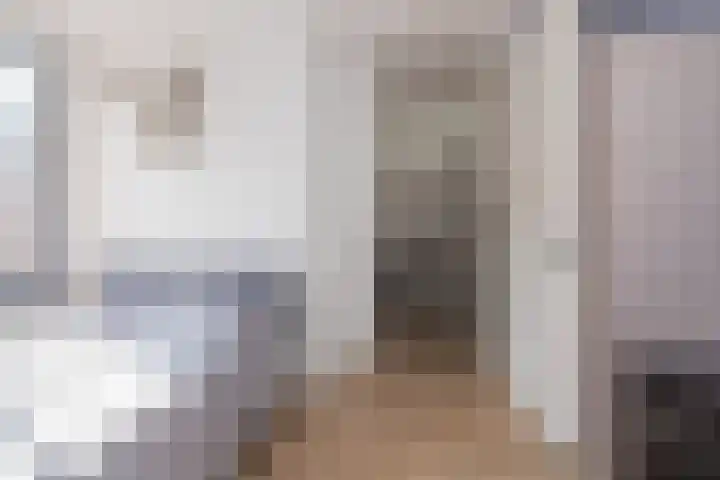 Zilverstein 15 Oegstgeest thumbnail 29