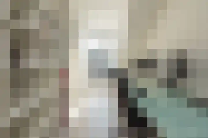 Zilverstein 15 Oegstgeest thumbnail 34