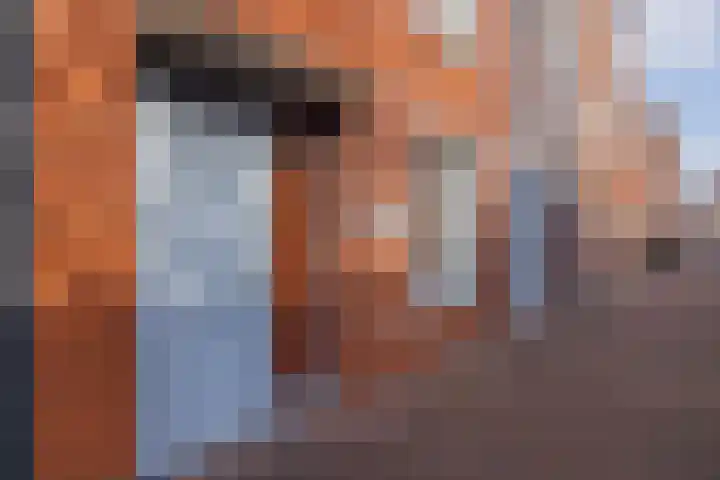 Zilverstein 15 Oegstgeest thumbnail 4