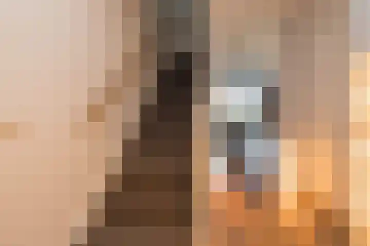 Zilverstein 15 Oegstgeest thumbnail 6