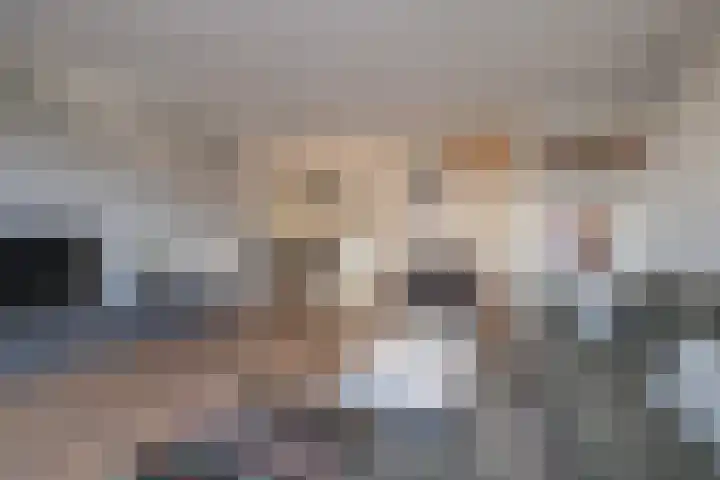Zilverstein 15 Oegstgeest thumbnail 9
