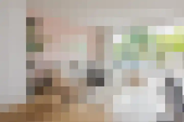 Zilverstein 16 Oegstgeest thumbnail 12