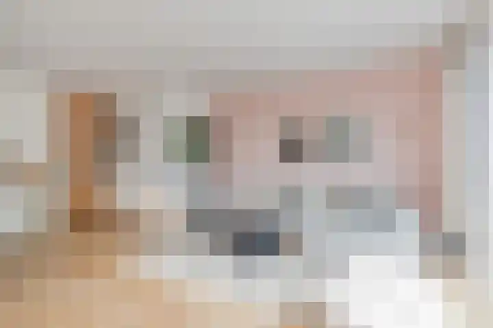 Zilverstein 16 Oegstgeest thumbnail 14
