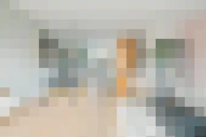 Zilverstein 16 Oegstgeest thumbnail 16