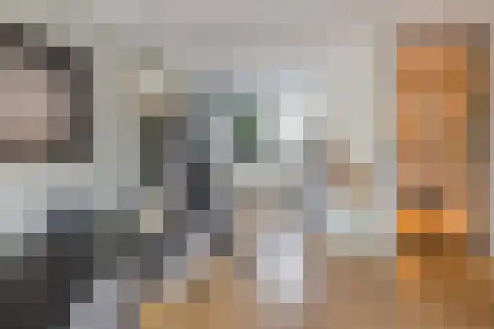 Zilverstein 16 Oegstgeest thumbnail 17
