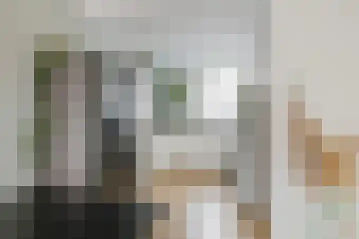 Zilverstein 16 Oegstgeest thumbnail 18