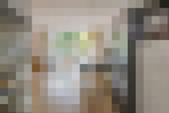 Zilverstein 16 Oegstgeest thumbnail 20