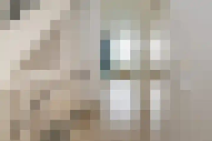 Zilverstein 16 Oegstgeest thumbnail 21