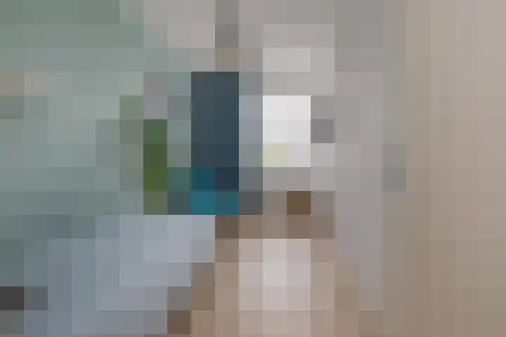 Zilverstein 16 Oegstgeest thumbnail 22