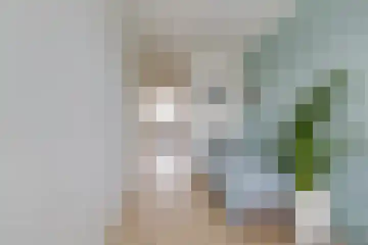 Zilverstein 16 Oegstgeest thumbnail 23