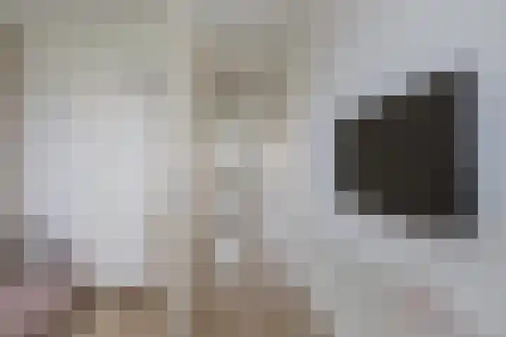Zilverstein 16 Oegstgeest thumbnail 25