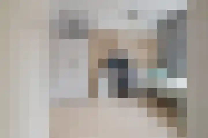 Zilverstein 16 Oegstgeest thumbnail 26