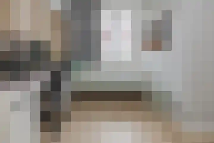 Zilverstein 16 Oegstgeest thumbnail 27