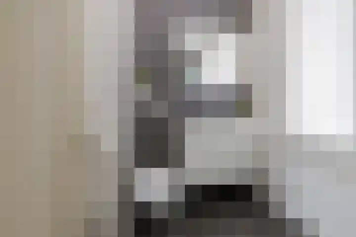 Zilverstein 16 Oegstgeest thumbnail 30